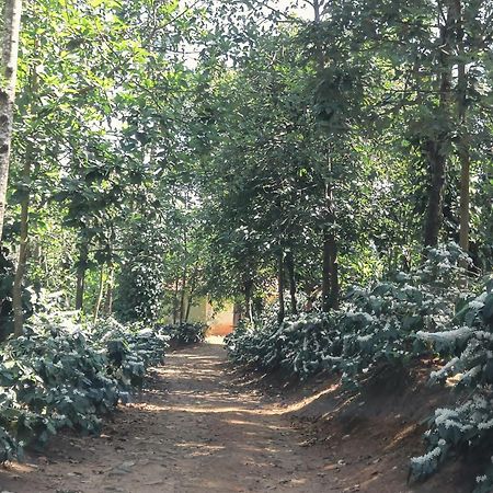 Jp Homestay Somwarpet Coorg Hangal Ngoại thất bức ảnh